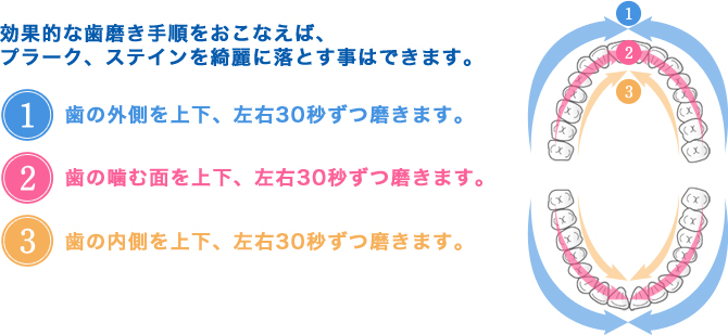 歯磨き手順画像