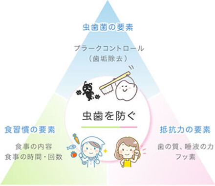 むし歯について